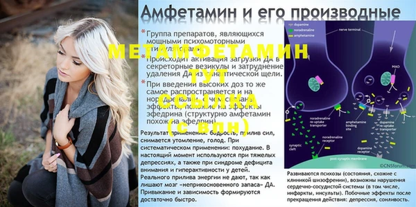 спайс Нея