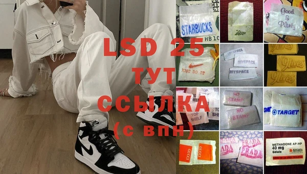 спайс Нея