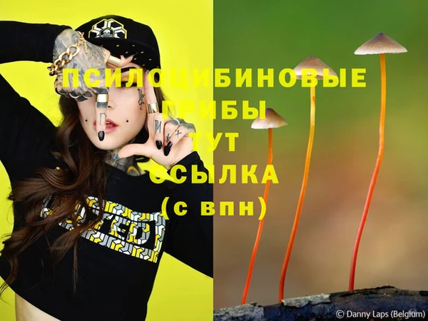 соль курить ск Валдай