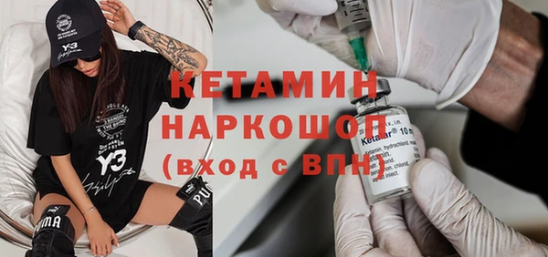 стаф Новодвинск