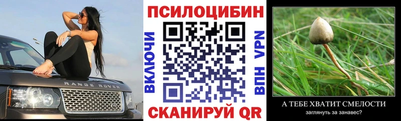 ОМГ ОМГ ССЫЛКА  Зея  Псилоцибиновые грибы Psilocybine cubensis 